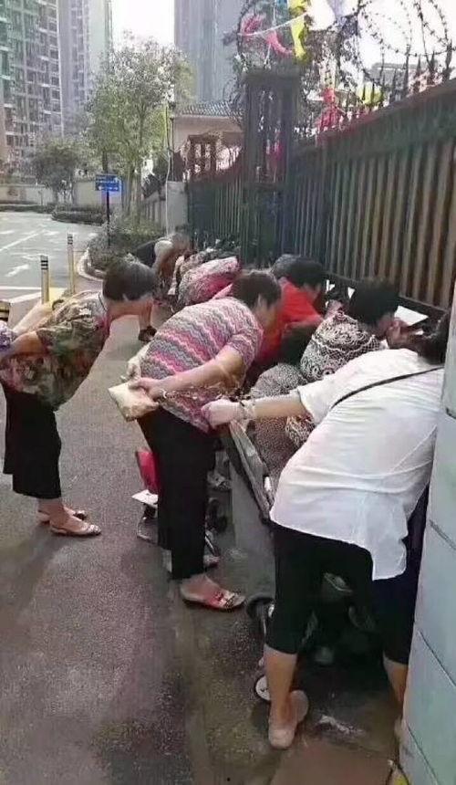 娱乐吃瓜酱人贩子是谁