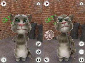 吃娱乐瓜tom猫的微博,Tom猫微博揭秘娱乐圈幕后故事