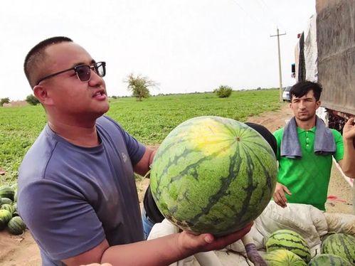 免费吃瓜全球更新最快,全球资讯一网打尽——最新更新速递